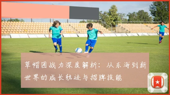 草帽团战力深度解析：从东海到新世界的成长轨迹与招牌技能
